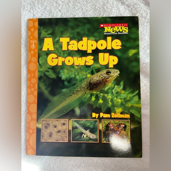 Educational book bundle- non fiction -Scholastic - Picture 10 of 14